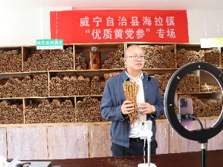 威宁海拉镇干部“云端”助农卖党参