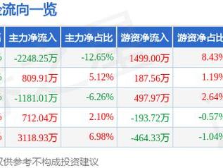 东湖高新（600133）5月23日主力资金净卖出2248.25万元