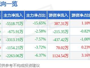 信雅达（600571）5月23日主力资金净卖出5518.75万元