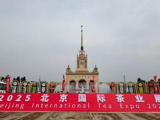 在北京品饮“世界茶” 2025北京“一展两会”开幕