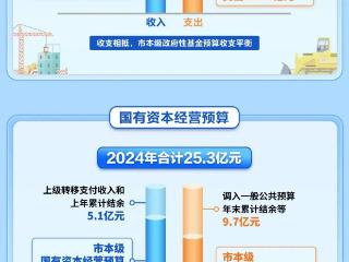 杭州2024年收入多少？2025年如何安排？“财政答卷”来了