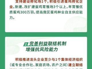 一图读懂丨江津如何抓好全区蛋鸡全产业链建设 推动高质量发展