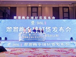 繁昌溜溜梅 向“梅”好进发