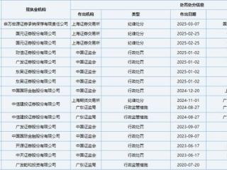 8名保代遭“资格罚”：归入暂停业务类名单，涉及6家券商