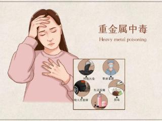 山东省妇幼保健院科普｜警惕重金属威胁，守护母婴健康