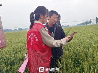宁津县刘营伍乡：人大代表田间履职显担当