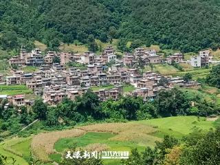 【村史村事 乡愁印迹】黔西南秧里村：油茶林里漾幸福 古寨新韵绘振兴