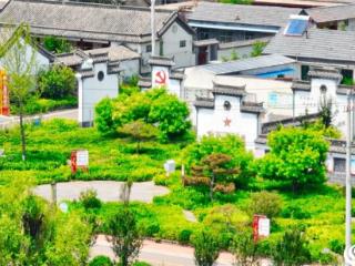 齐河县赵官镇：“特色农旅+精品民宿+红色研学”融合模式 激活乡村振兴“新引擎”
