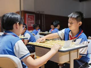 廊坊开发区青少年象棋比赛圆满举办