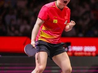 孙颖莎4-0打崩伊藤美诚，赛后一席话感动日本一姐，莎莎情商拉满