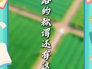 【天眼问学】你知道吗？道路的称谓还有这些