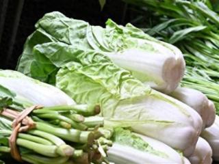 经济日报：后期菜价仍有下降空间