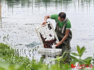 行进中国｜冬天也能实现“小龙虾自由”？