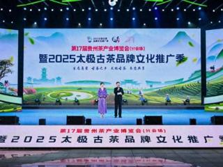 贵州毕节茶产业开启高质量发展新篇章