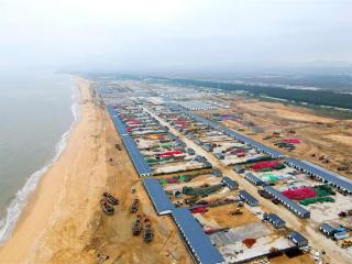 行进中国|乳山牡蛎“上岸记”：从浪尖鲜味到舌尖美味