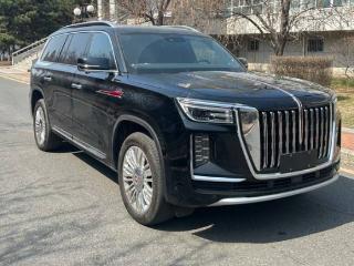 V8引擎最大功率提升至410千瓦 新款红旗国耀申报信息