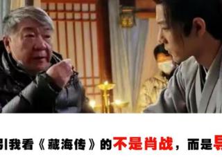 吸引我看《藏海传》的不是肖战，而是导演