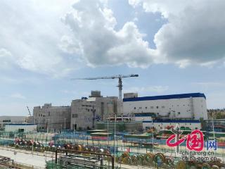 共建“核美家园”看“玲龙”丨海南核电：与水鸟珍贝为伴 与乡村振兴同行