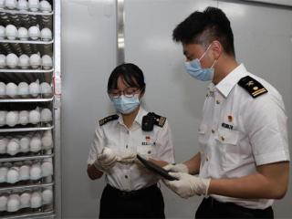 北京经济新航标｜从“零突破”到“全球化布局” 北京企业自主培育种禽走出国门