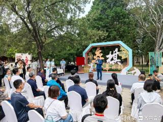 奥运冠军与象棋世界冠军跨界联动，泰安岱庙上演象棋文化盛宴