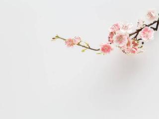 中年男人无法招架的女人，身上往往有4个过人之处，很准
