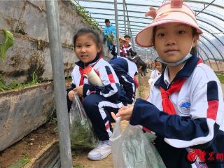 赴春日之约 享研学之乐 青岛淮阳路小学开展研学活动