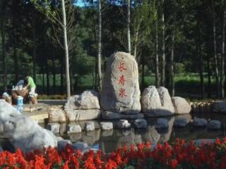 2025哈尔滨长寿森林半程马拉松带你跑进“森林水疗中心”！