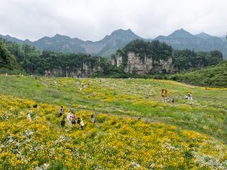 梦幻花海盛放中 享受初夏限定美好