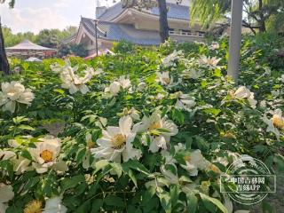 一周“昕”气象｜最高气温可达34℃！本周我省气温明显回升