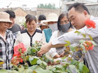 临沭县大兴镇组织开展“绿满沂蒙花满村”培训宣讲活动