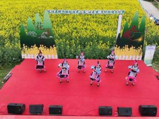 贵州长顺：油菜花海绘就丰收盛景，科技与协作奏响农业强音