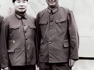 聂老总把他留晋察冀，他如果回刘邓麾下，杨勇有机会当兵团司令吗