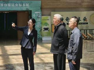 马未都到访烟台博物馆，一件镇馆之宝让他惊叹“实属难得”