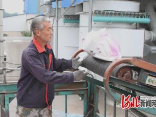 河北滦南：沃土育出“黄金糯”