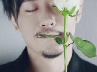 默默无闻20年，却在改名后靠邪魅"杨逍"翻红，林雨申演技绝了