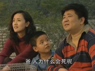 好好活着——“张大民们”对自己最无奈，也是最乐观的评价