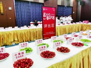 84种地产番茄上演“舌尖上的较量”