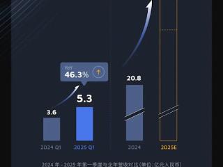 季度营收同比增长近50%！禾赛科技发布2025年Q1财报