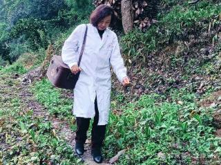34年守护一方健康！松桃乡村医生雷子先的“药箱人生”