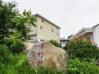 宿松凉亭镇：生态治村绘就绿色新画卷