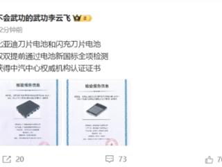 不起火、不爆炸！比亚迪：刀片电池和闪充刀片电池提前通过2025新国标全项检测