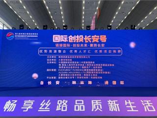 链接国际 创投未来 大唐领域控股国际创投长安号丝博会专场会议成功举办