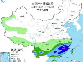 人手一束！杭州时髦单品已出街