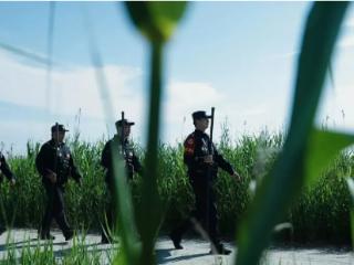 盐城多方联动织密生态安全防护网，护万物共生 绘和美画卷