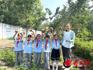 定陶区冉堌镇聂庄小学：田间课堂育童心 土豆丰收乐满园