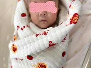 生命奇迹！吉林省人民医院成功救治一例胎龄24周合并心脏重症超早产儿