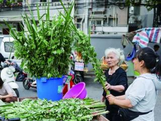 端午将至 艾草菖蒲热销