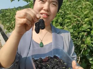 青岛故事丨放弃餐饮深耕田园，“金牌妈妈”打造自然教育新园地