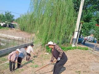 济宁市任城区二十里铺街道朱营村公益岗积极开展系列志愿服务活动