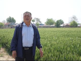 强农先锋丨张萍：从“三无村”到“样板村”